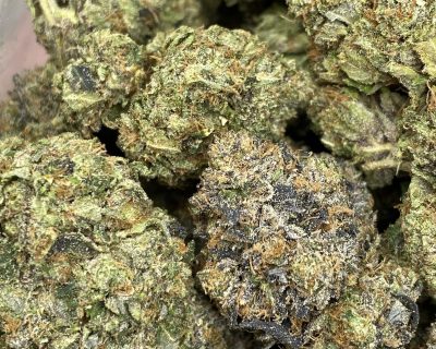 ROTTWEILER PINK (MEGA GAS) - Image 1